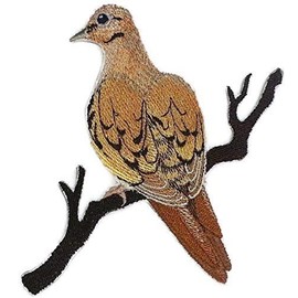 Nature Weaved in Threads, Amazing Birds Kingdom [Single Mourning Dove ] [Custom and Unique] Embroidered Iron on/Sew Patch [4.7" *4.8"] [Made in USA]