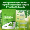 VivoNu Pure Moringa Capsules, Moringa Leaf Extracts, 120 Day Supply,