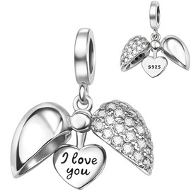 Ruishiqi 925 sterling silver bracelet and necklace pendant December series/Birthstone Charm Bead Women's Jewelry Gift Suitable for Women