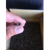 Strong Point #9 x 3" Star Drive Deck Screws Ty.17