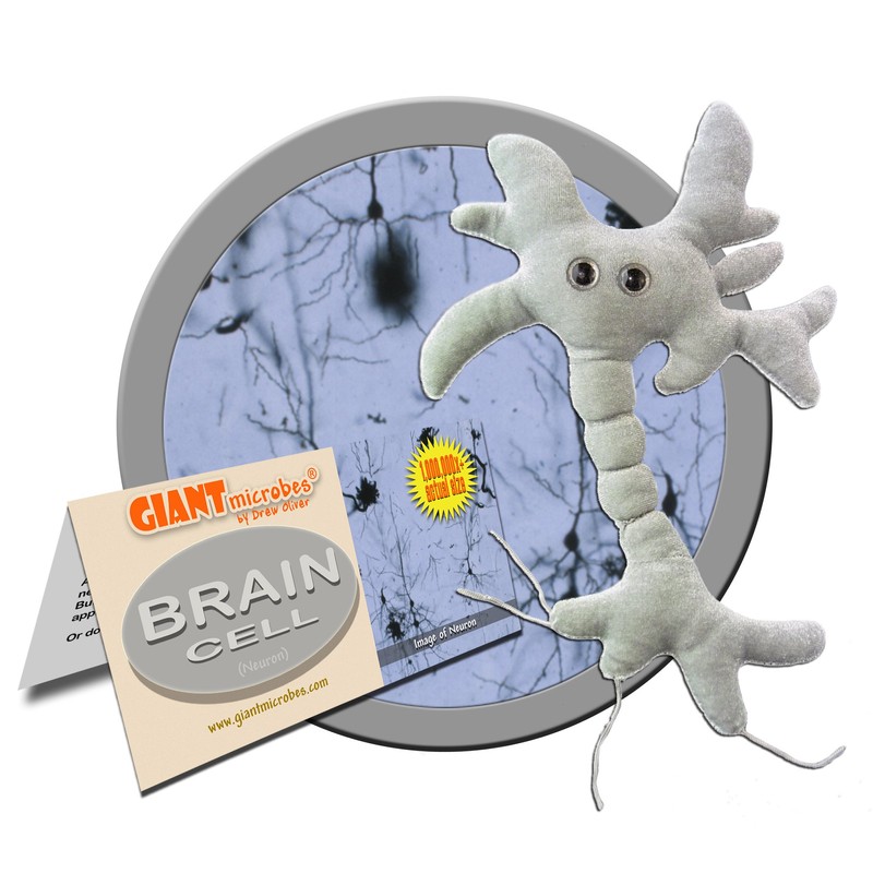 GIANTmicrobes Brain Cell Plush, Neuron Plush, Neuroscience Gift, Neurology Gifts,