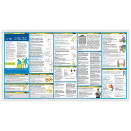 ComplyRight All-In-One Safety Poster (W0430)