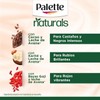 Tinte de Cabello Palette Naturals Kit 4-60 50ml