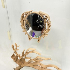 Daerky Jumping Spider Mirror, Small Animal Self-Observation Mirror, Jumping Spider Climbing Fence Accessories, Jumping Spider Training Decoration, Small Animal Habitat Decoration (Wood Color, Oval)