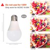 12V LED Light Bulb 7W 630Lm AC/DC10-30Volt Low Voltage E26