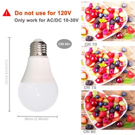 12V LED Light Bulb 7W 630Lm AC/DC10-30Volt Low Voltage E26 Base (2700K Warm White) 40-60 Watt A19 Bulbs Equivalent,Landscape Garden Yard, 12volt Battery Power System Off Grid Solar Lighting,6 Pack