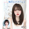 AISIHAIR Wig, Semi-Long, Medium, Brown, Straight, Full Wig, Long, Small