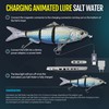Animated Lure Saltwater (Sardine Premium)