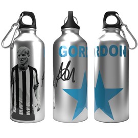 Partisan Newcastle Bottle Gordon 2-Lid Aluminium 600ml Silver