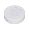Combustible Gas Detector for Home Smart Safety Natural Gas Leakage