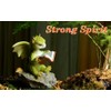 Gemmia Miniature Fairy Garden Dragon Figurines- Swing Dragon Statue