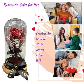 SINT Preserved Rose Gifts for Women Forever Real Rose in Glass Dome Rose Flow...