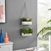Danya B. Two-Tier Hanging White Metal Trough Wall Planter