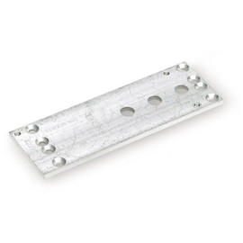 Burg Wächter Plate Mounting DIN with Screw for TS 4000 Silver