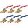 SUNGATOR 6-Pack Pex Ball Valve 1/2 Inch, Full Port 1/4