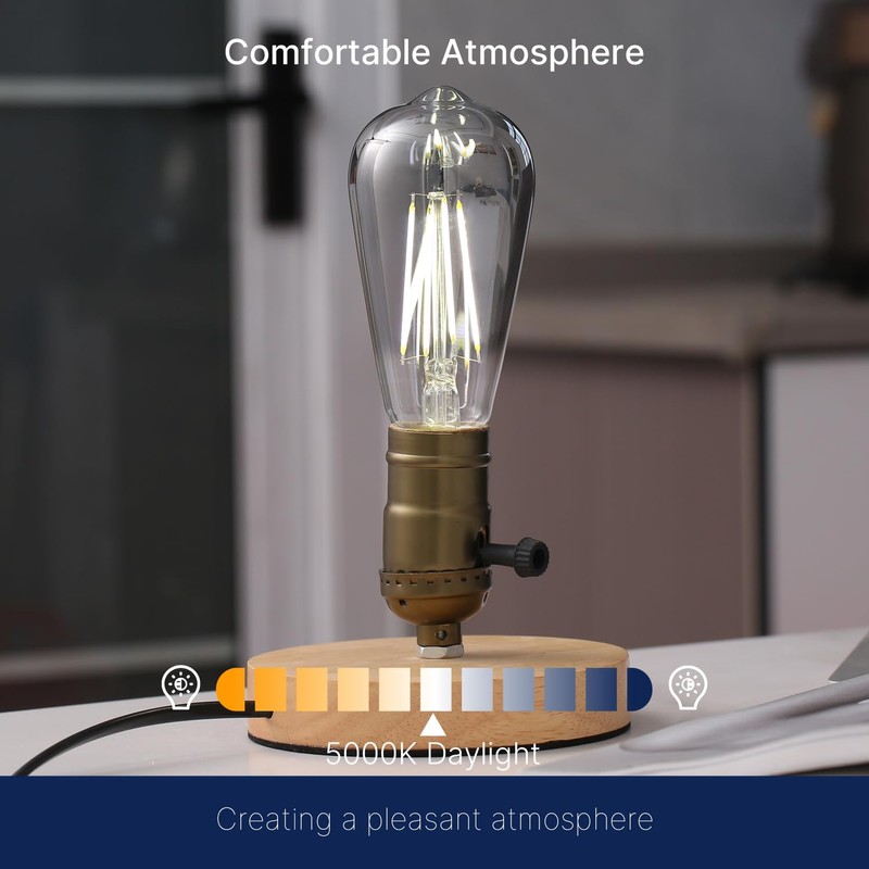 FLSNT LED Edison Bulbs, 5000K White Light Dimmable ST19 LED