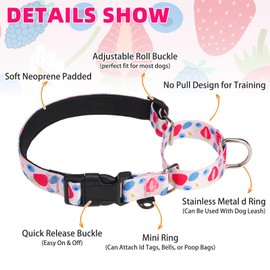 KOOLTAIL Martingale Collar for Dogs,Soft Padded Nylon Heavy Duty Dog Collar for Small Medium Large Dogs,Adjustable No Pull Durable Wide Puppy Training Collar With Pattern Design for Boys Girls, Pink M