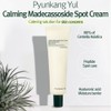 Pyunkang Yul [Pyunkang Yul]Calming Madecasoside Spot Cream 30ml