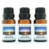 Crazy Candles Egyptian Sandalwood 3 Bottles 1/2 Fl Oz Each