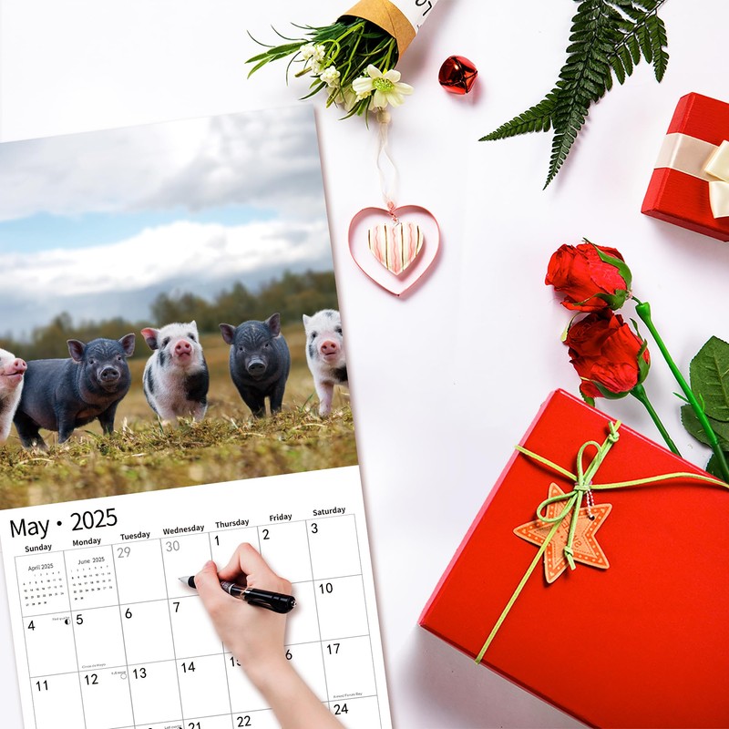 2025 Wall Calendar,Calendar 2025, November 2024 - December 2025, Wall