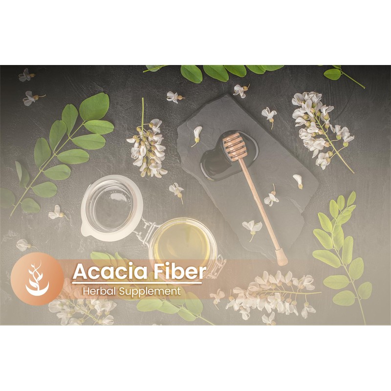 PURE ORIGINAL INGREDIENTS Acacia Fiber, (100 Capsules) Pure, No Additives