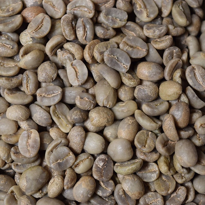Fresh Roasted Coffee, Unroasted Organic Honduran Marcala | USDA Organic,
