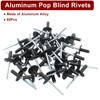 Zorveiio 60 Pcs 3/16" x 5/8" Large Flange Aluminum Blind