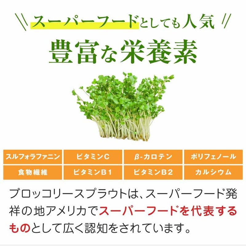 nichie ブロッコリースプラウト パウダー 30g