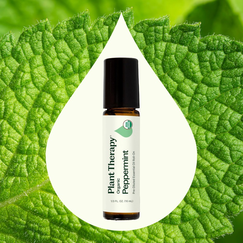 Plant Therapy Organic Peppermint Essential Oil 100% Pure, Pre-Diluted Roll-On,