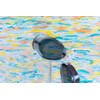 Deep Smoke Franck Swimming Goggles | Pool Goggles | Swedish
