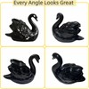 Floor Caps,Toilet Bolt Caps Decorative,Toilet Screw Cover Caps (Black Swan)
