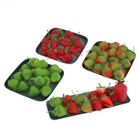 Meiwlong 30 PCS Artificial Realistic Plastic Strawberries Lifelike Fake Red Assorted Size Fruit Faux Simulation Centerpieces Props Decoration Party Wedding Cabinet Home