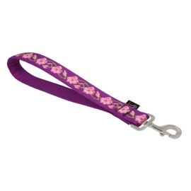 LupinePet Originals 1" Rose Garden 11" Training Tab/Leash for Medium and Larger Dogs