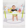 Skip Hop Baby Foldable Activity Jumper for Baby Ages 4m+,