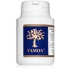 Yamoa Funtumia Elastica Capsules. Vegan. (120 Capsules)
