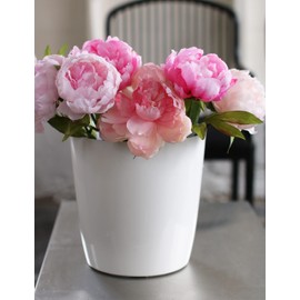 The HC Companies 6 Inch Aria Round Self Watering Planter - Plastic Plant Pot for Indoor Outdoor Plants Flowers Herbs, Matte White