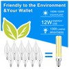 Megereet Updated Dimmable E12 LED Bulbs 100W 120W Incandescent Bulb