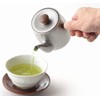 Miyazaki Seisakusho CHA-2 Teapot with Tea Strainer, No Direct Flame,