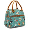 FlowFly Insulated Lunch Cooler Bag - Tote Bag Organizer for