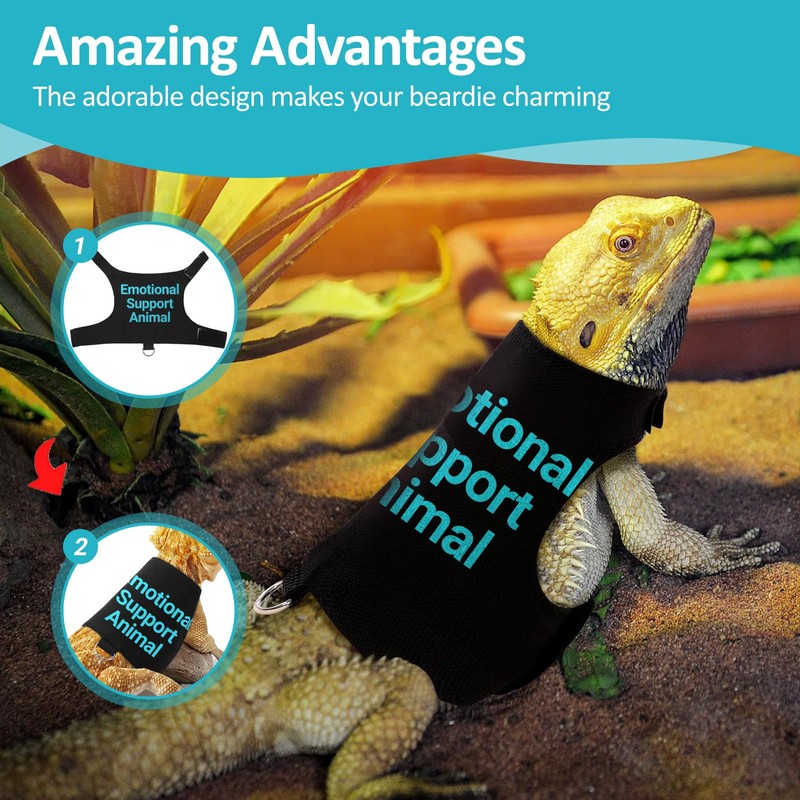Bearded Dragon Lizards Clothes with Leash Set - Cute Lizard