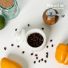 Koville Marble Salt Cellar with Lid 3.5" White, Stone Pepper
