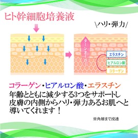 Beauty Cream Skin Care, Basic Cosmetics, Dry Skin, Age Skin, Skin Care