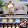 30X 10X Large Floor Magnifying Glass with Light and Stand,72