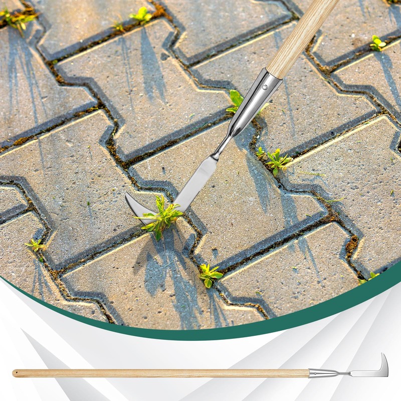 Lothee Garden Long Handle Crack Weeder 54 Inch Stainless Steel