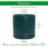 D'vine Dev 10 Inch Ceramic Planter Pot with Drainage Hole