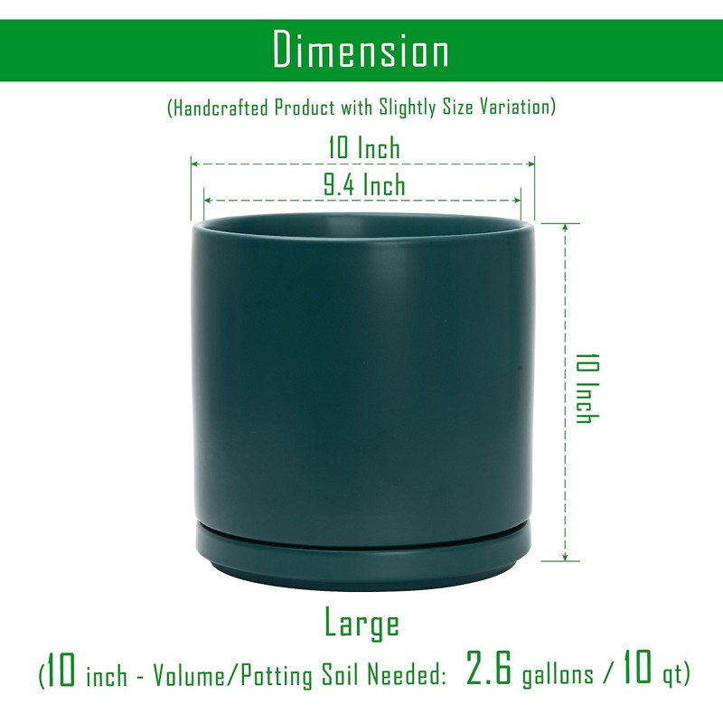 D'vine Dev 10 Inch Ceramic Planter Pot with Drainage Hole