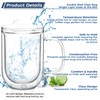 Aquach 16-ounce Large Double Walled Glass Coffee Mugs with Handle,