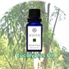 NOTO Eucalyptus Essential Oil 0.2 fl oz (5 ml) Essential