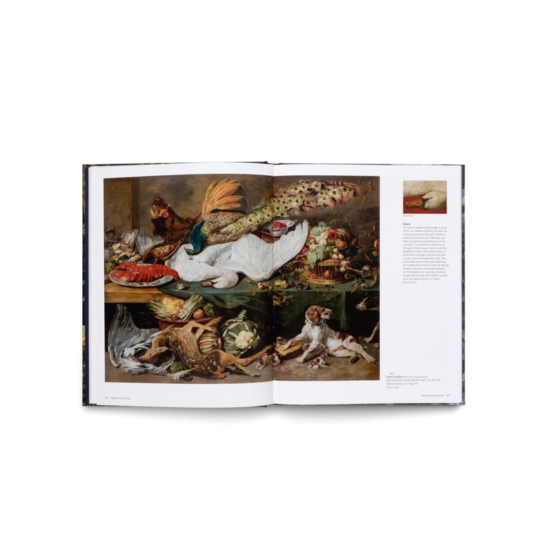 Still Life: Timeless Beauty