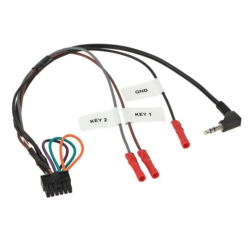 ACV Installation Kit with Steering Wheel Adapter for Double DIN
